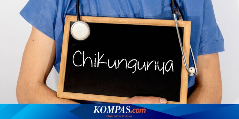 20 Warga Banyuwangi Positif Chikungunya, 40 Orang&nbsp;Suspek