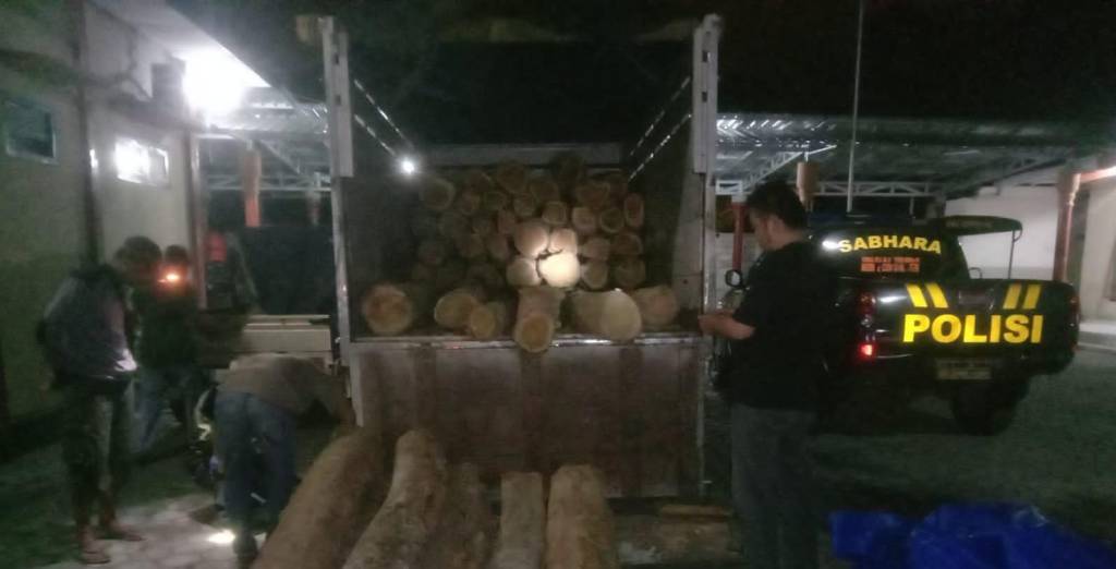 Perhutani dan Polisi Kembali Tangkap Terduga Pencurian Kayu&nbsp;Jati