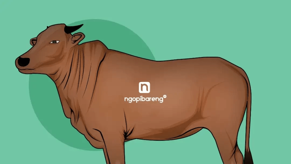 Pastikan Siap Disembelih, Pemkab Banyuwangi Periksa Hewan&nbsp;Sehat