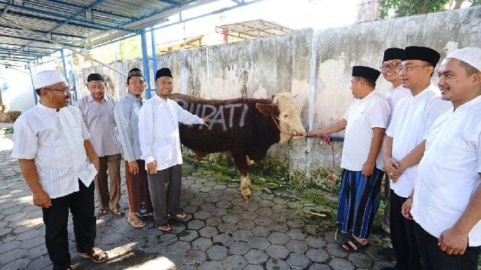Pemkab Banyuwangi Salurkan 60 Hewan Kurban, Bupati Ipuk: Semoga Berkah – Tribunjatim.com