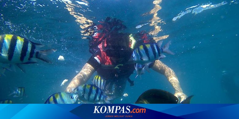 Rute Menuju Bangsring Underwater Banyuwangi, Hemat Pakai Kereta&nbsp;Api