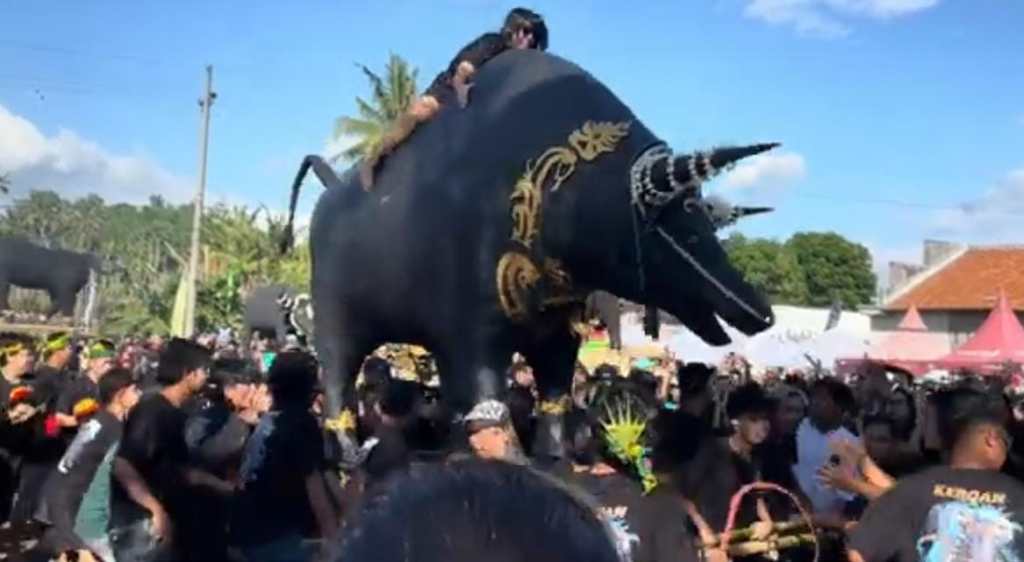 Menjaga Warisan Leluhur Komunitas Adat Osing , Desa Aliyan Rogojampi Gelar Ritual Adat Kebo-Keboan&nbsp;Aliyan