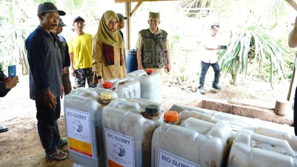 Peternak Domba di Banyuwangi Olah Kotoran Ternak Jadi Biogas dan Pupuk&nbsp;Cair