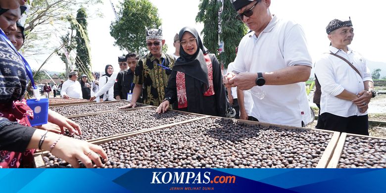 Perkebunan Kopi Rakyat di Banyuwangi Capai 9.778 Hektar, Pemasaran Perlu&nbsp;Ditingkatkan